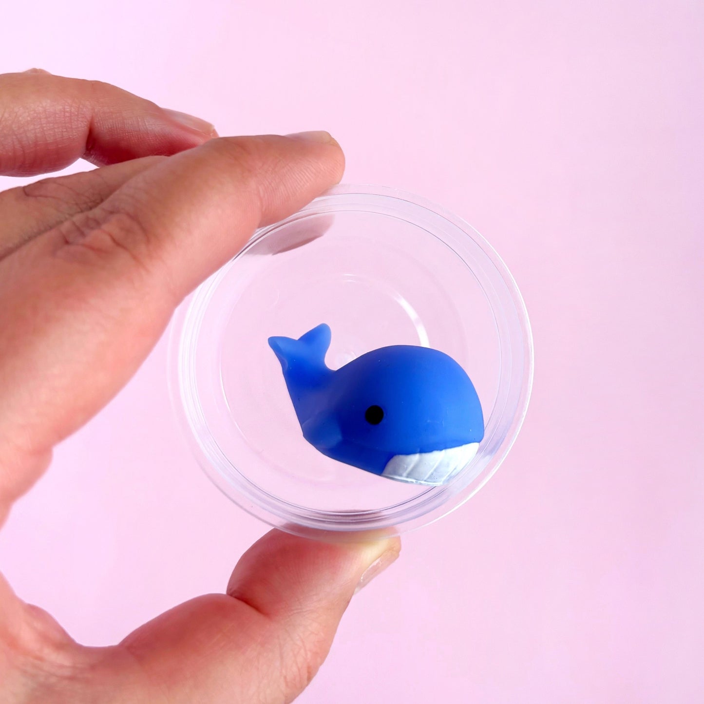 Mini squishy mochi en pote