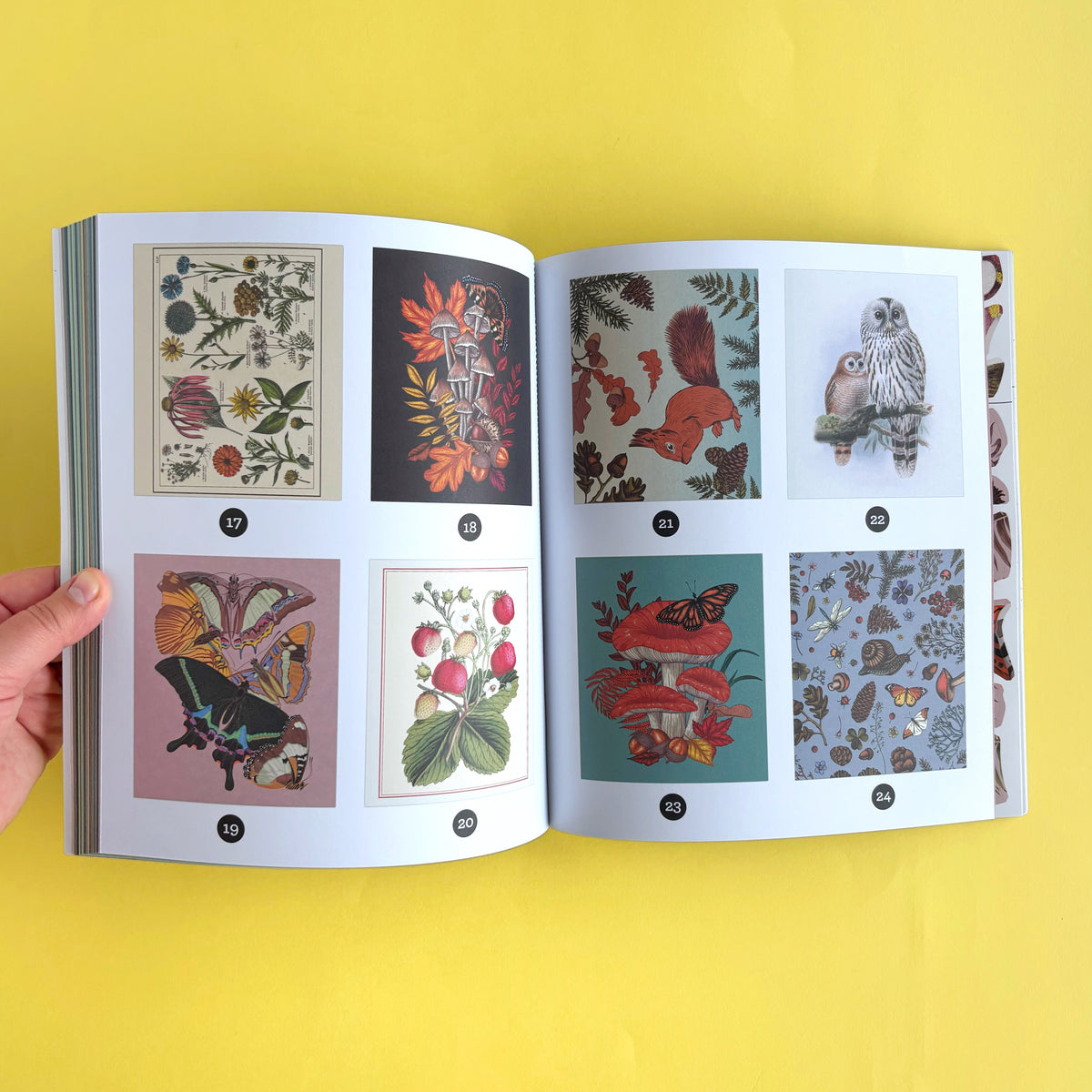Libro de Stickers por Números Brain Games: Forest - 28 imágenes para completar