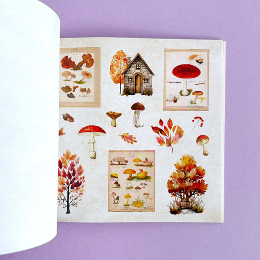Libro de Stickers Cottagecore- Más de 650 stickers