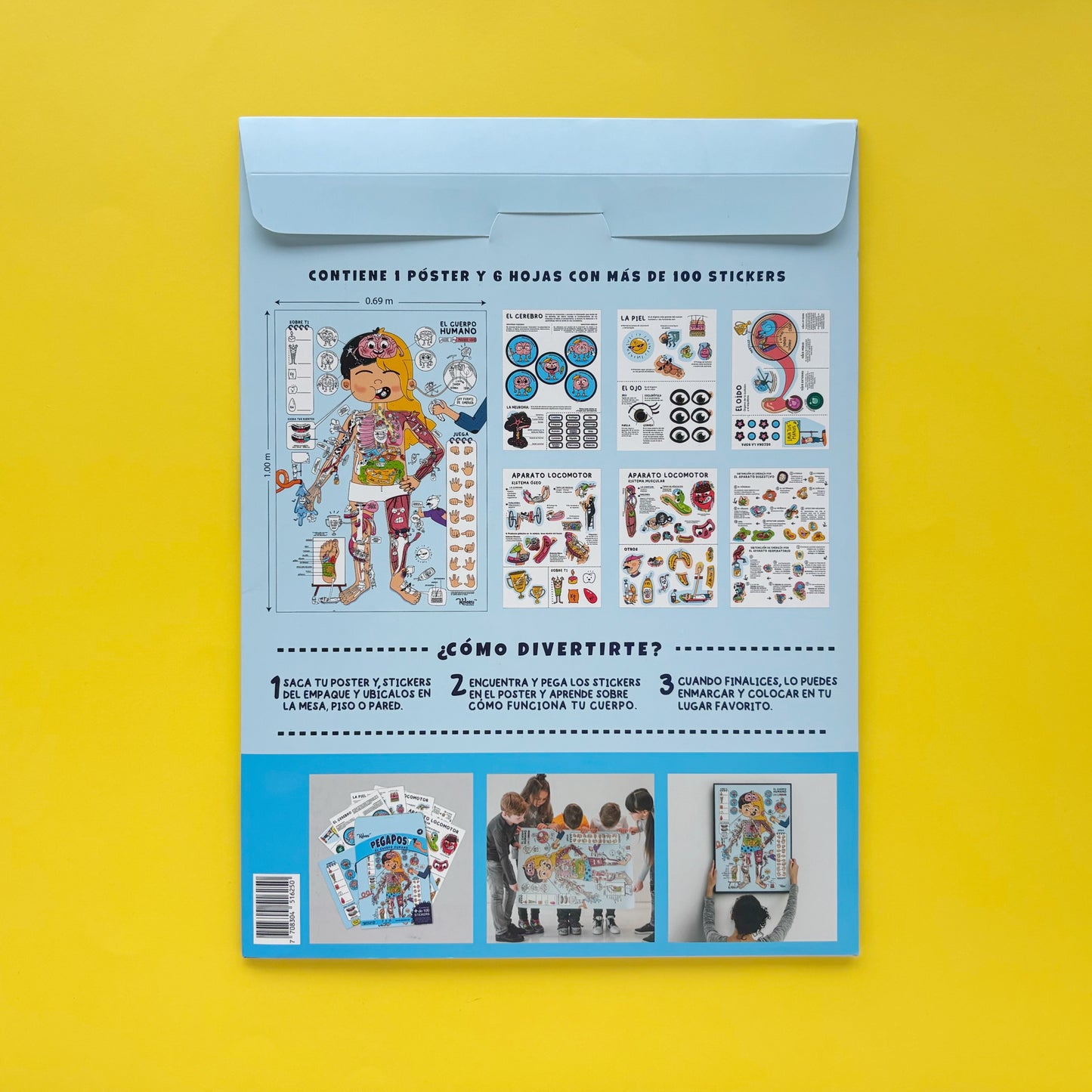 Póster gigante Pegapost – El cuerpo humano