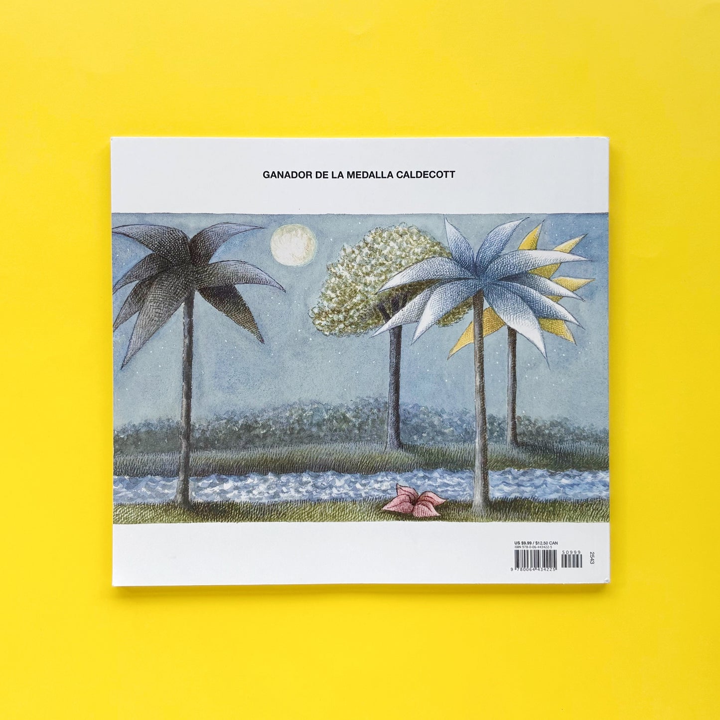 Donde viven los monstruos – Libro infantil tapa blanda