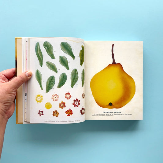 Libro de stickers John Derian Sticker Book