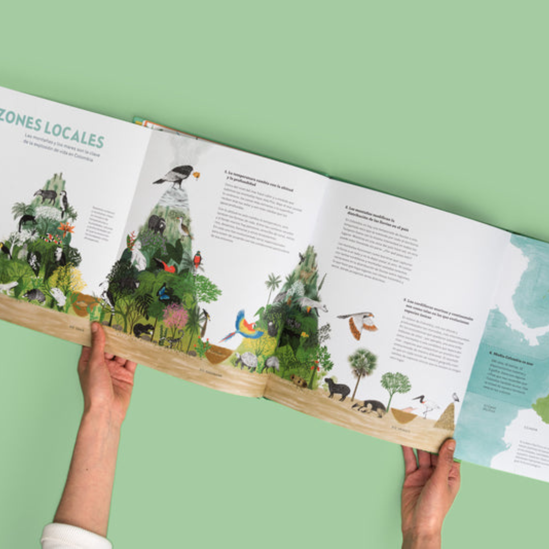 Colombia de arriba abajo - Libro informativo ilustrado