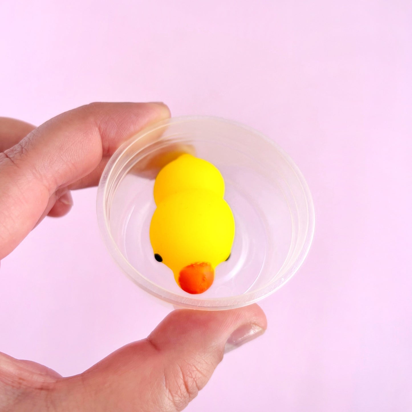 Mini squishy mochi en pote