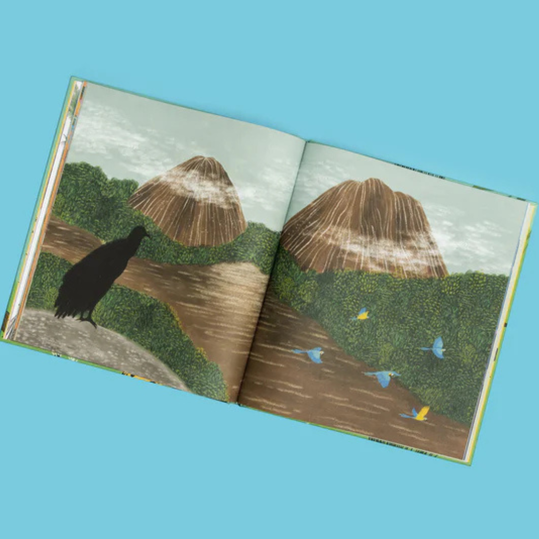 Colombia de arriba abajo - Libro informativo ilustrado