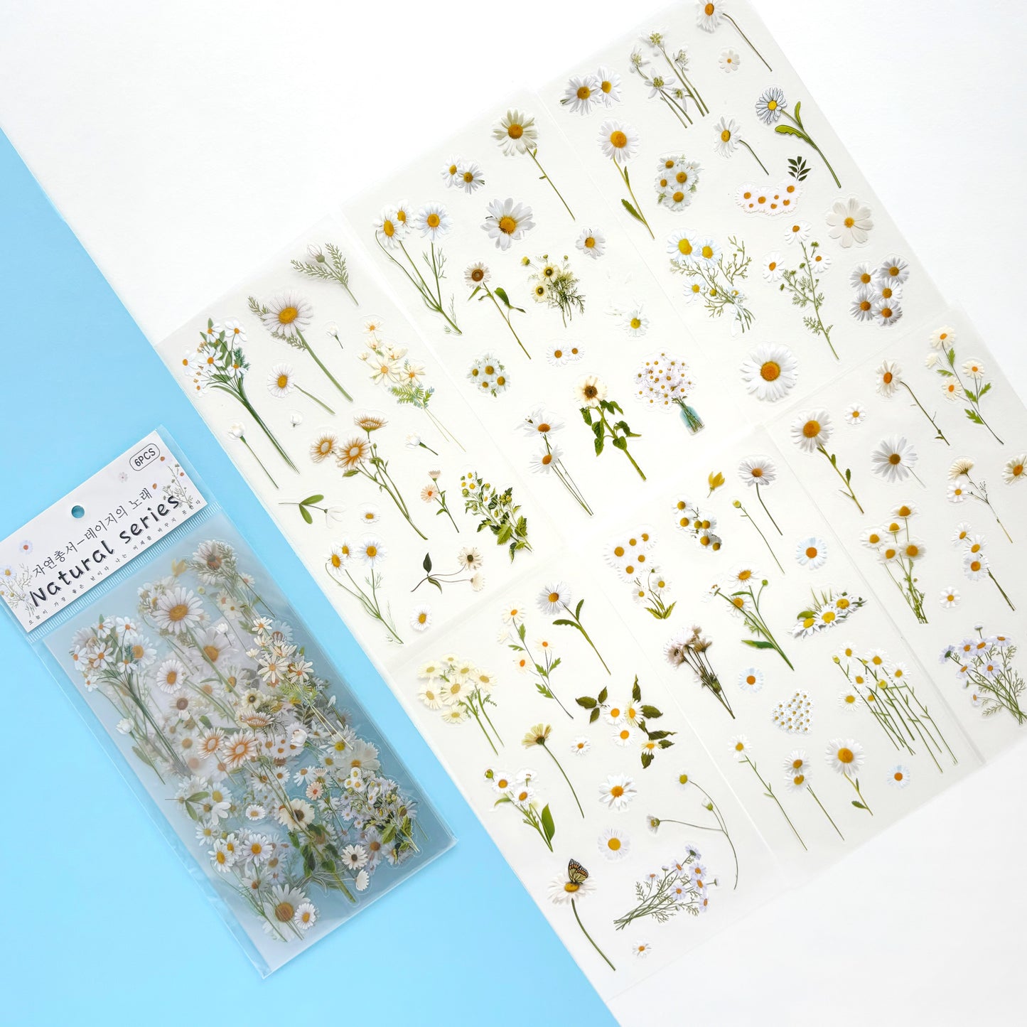 Set de Stickers Botánicos Margaritas Silvestres (6 hojas)