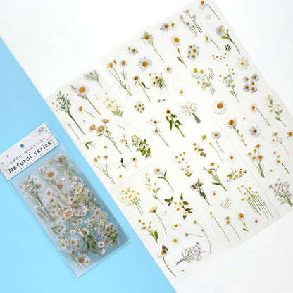 Set de Stickers Botánicos Margaritas Silvestres (6 hojas)