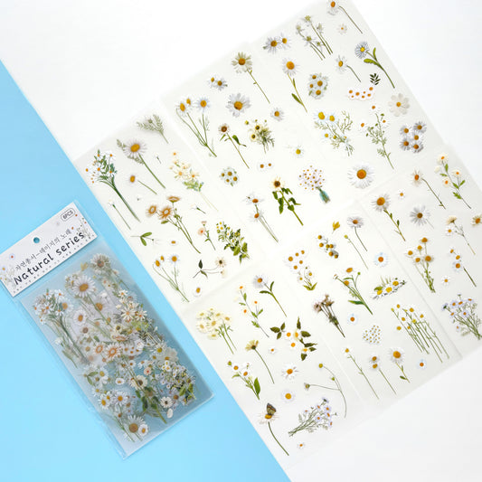 Set de Stickers Botánicos Margaritas Silvestres (6 hojas)