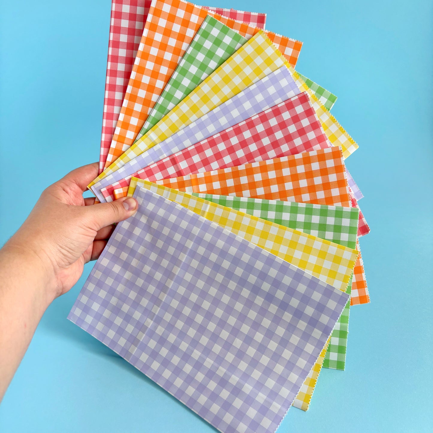Bolsas Kraft Picnic (10 piezas - 2 por color)