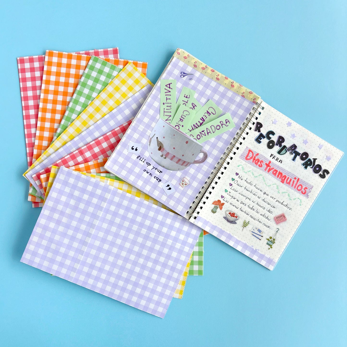 Bolsas Kraft Picnic (10 piezas - 2 por color)