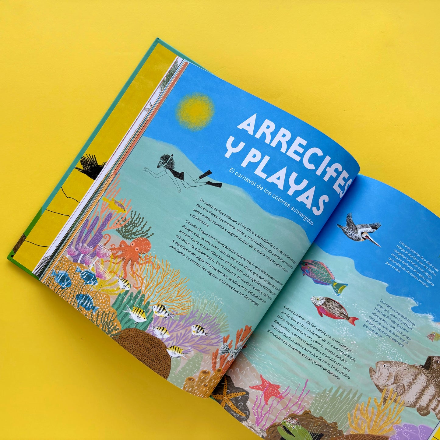 Colombia de arriba abajo - Libro informativo ilustrado