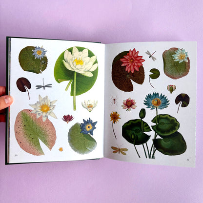 Libro de sticker The Botanist's sticker anthology - Más de 1000 stickers
