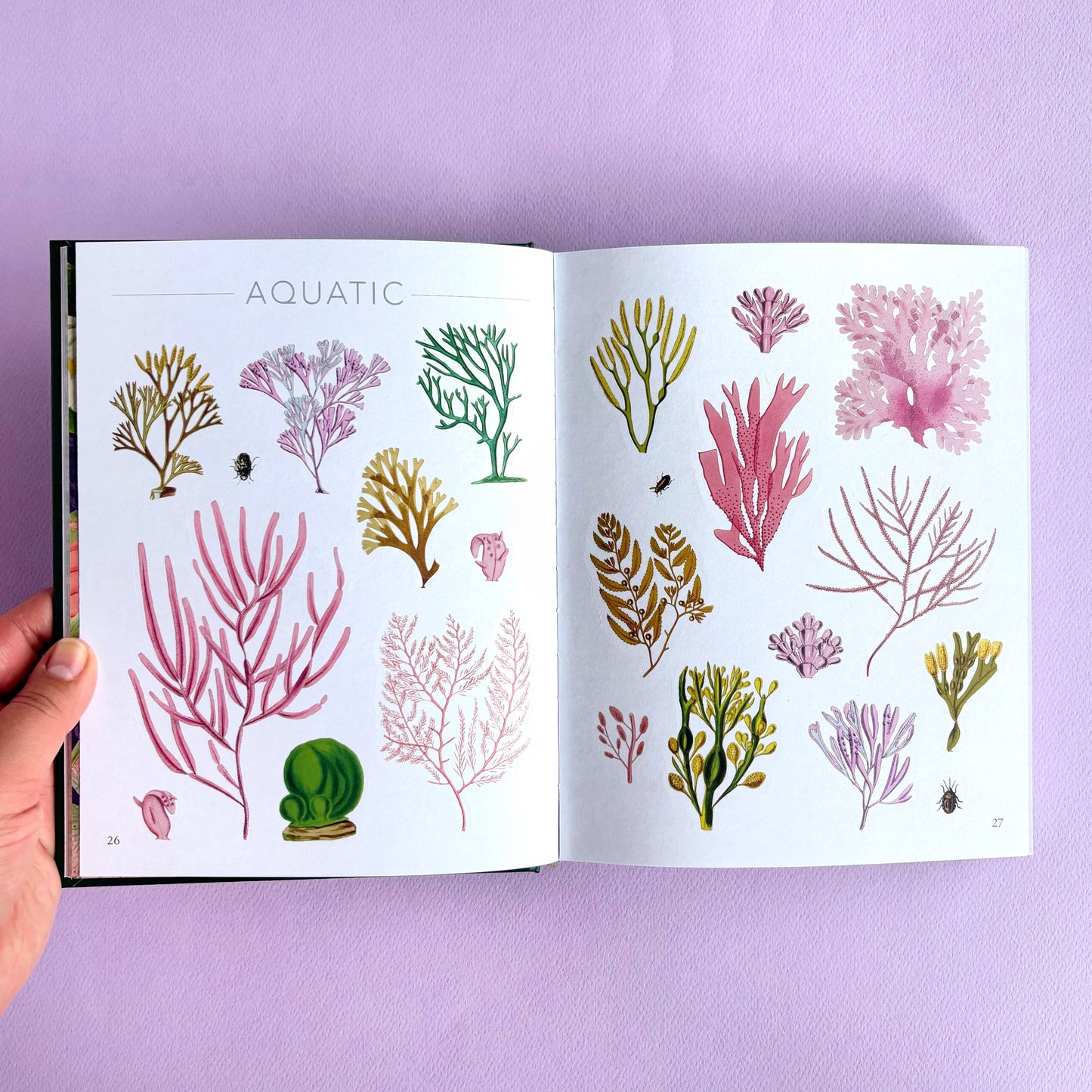 Libro de sticker The Botanist's sticker anthology - Más de 1000 stickers