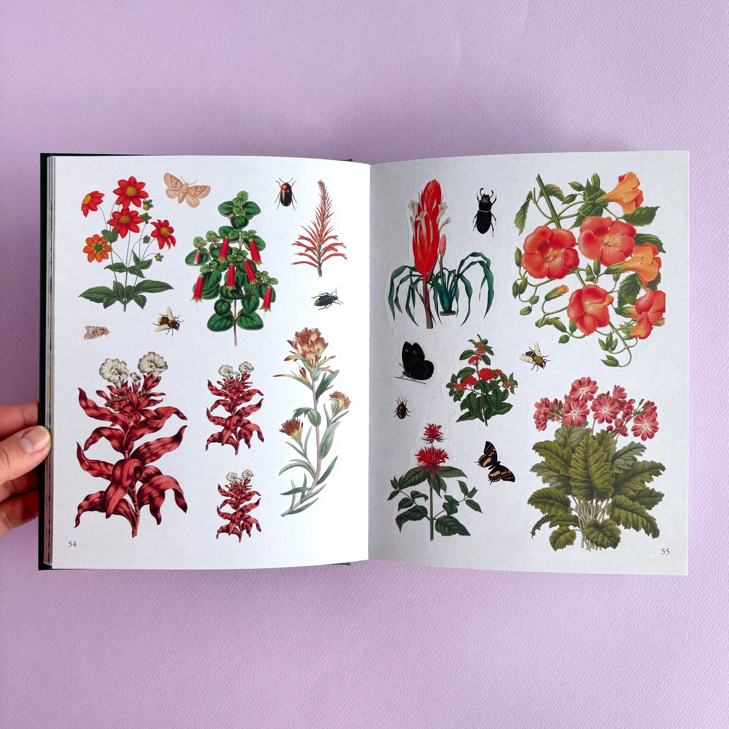 Libro de sticker The Botanist's sticker anthology - Más de 1000 stickers