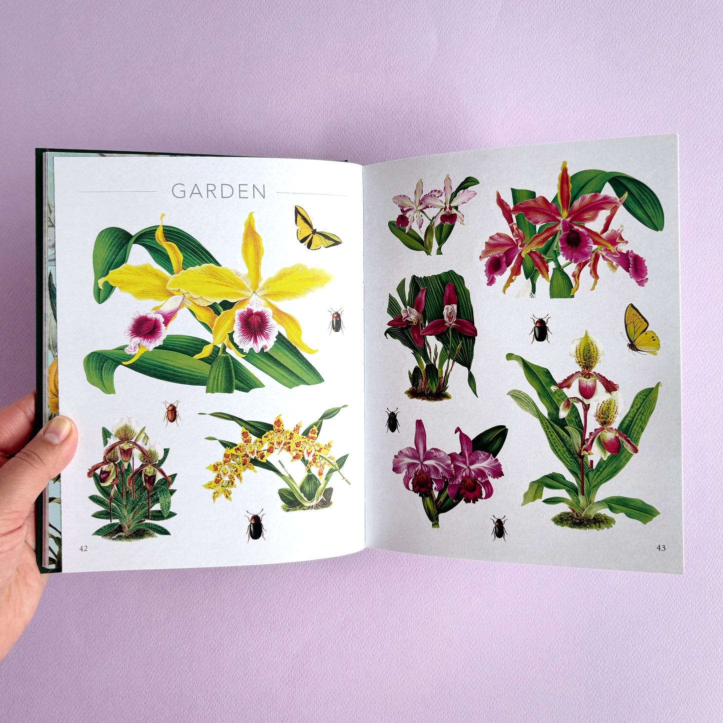 Libro de sticker The Botanist's sticker anthology - Más de 1000 stickers