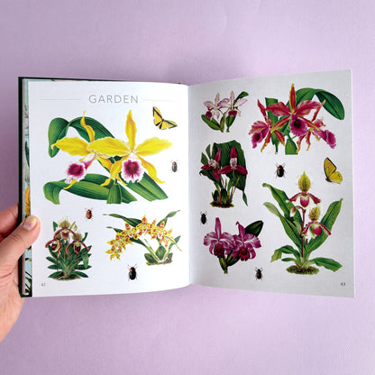 Libro de sticker The Botanist's sticker anthology - Más de 1000 stickers