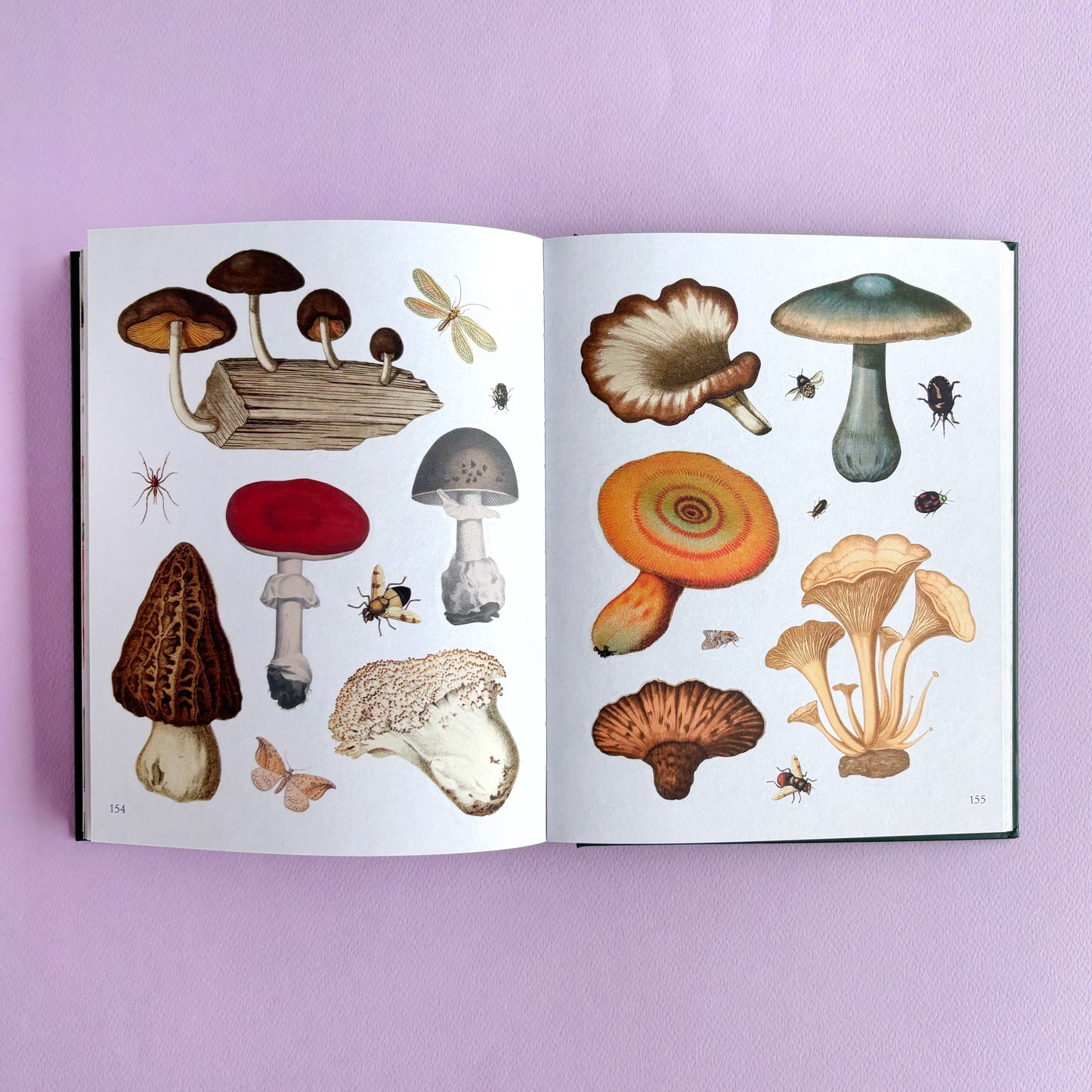 Libro de sticker The Botanist's sticker anthology - Más de 1000 stickers