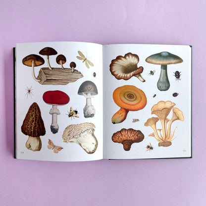 Libro de sticker The Botanist's sticker anthology - Más de 1000 stickers