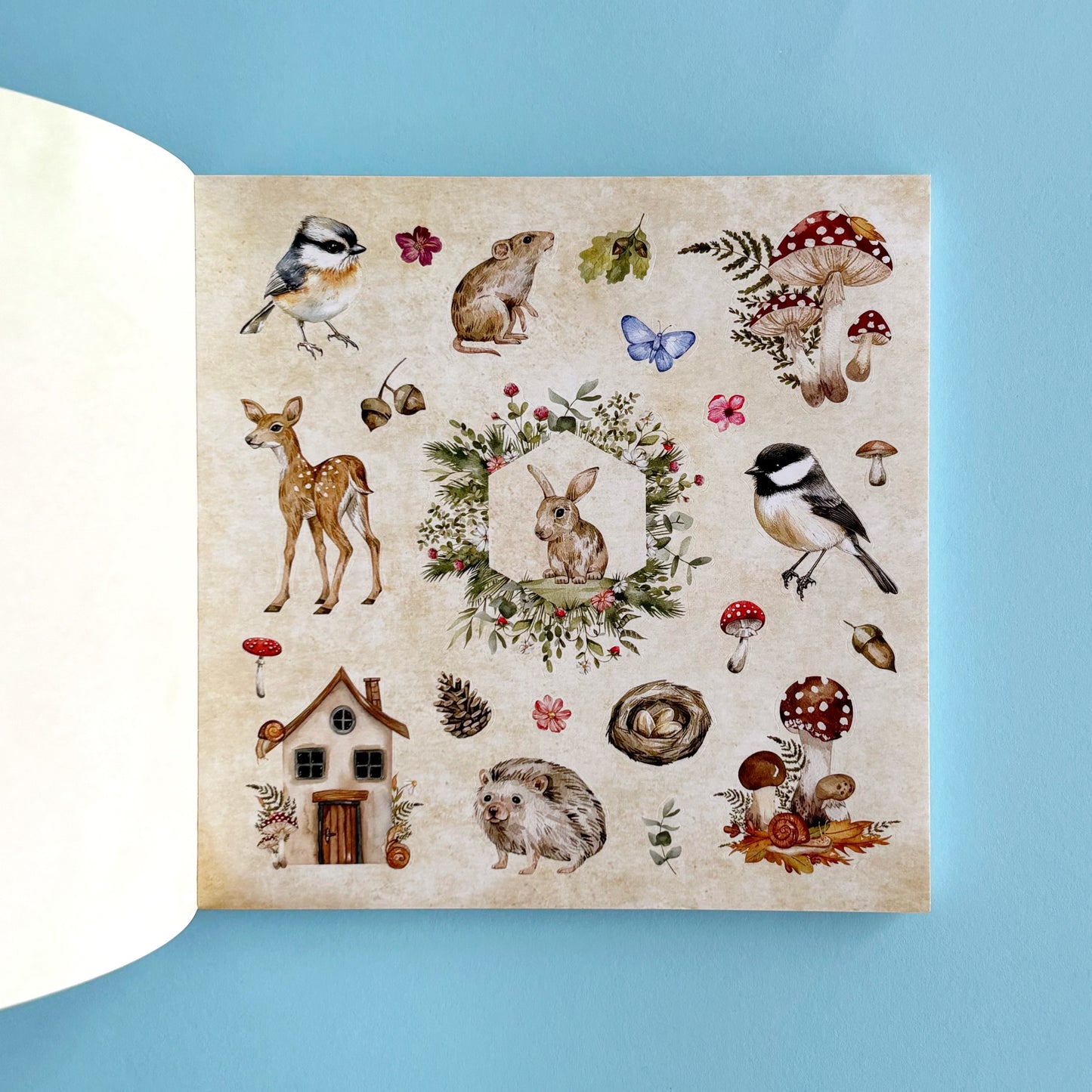 Libro de Stickers Enchanted Forest - Más de 800 stickers