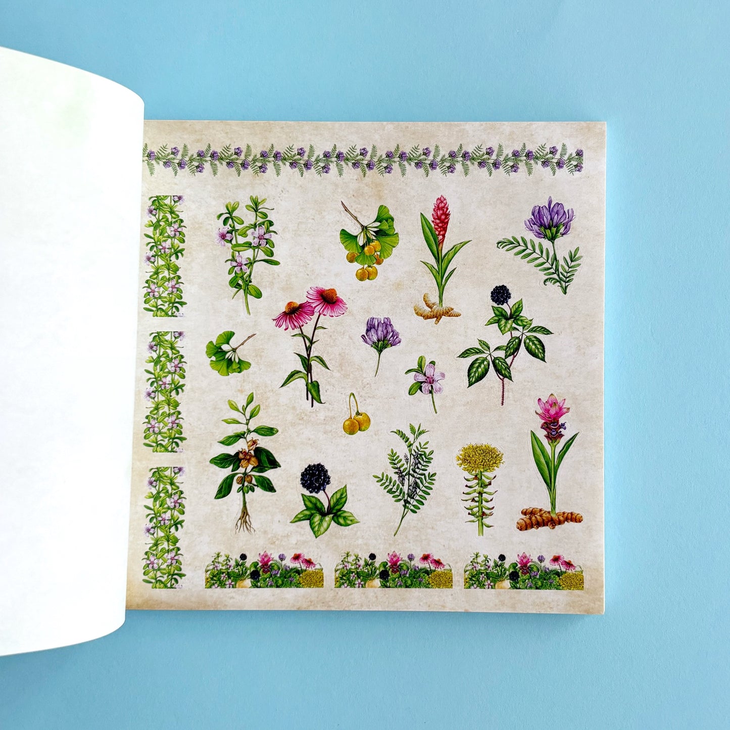 Libro de Stickers Enchanted Forest - Más de 800 stickers