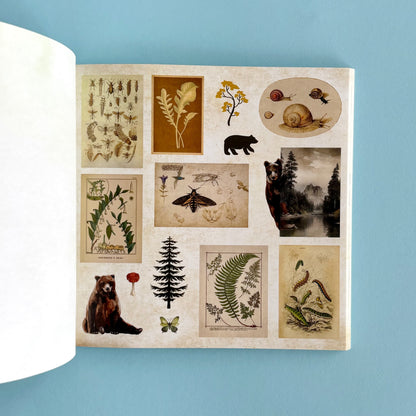 Libro de Stickers Enchanted Forest - Más de 800 stickers
