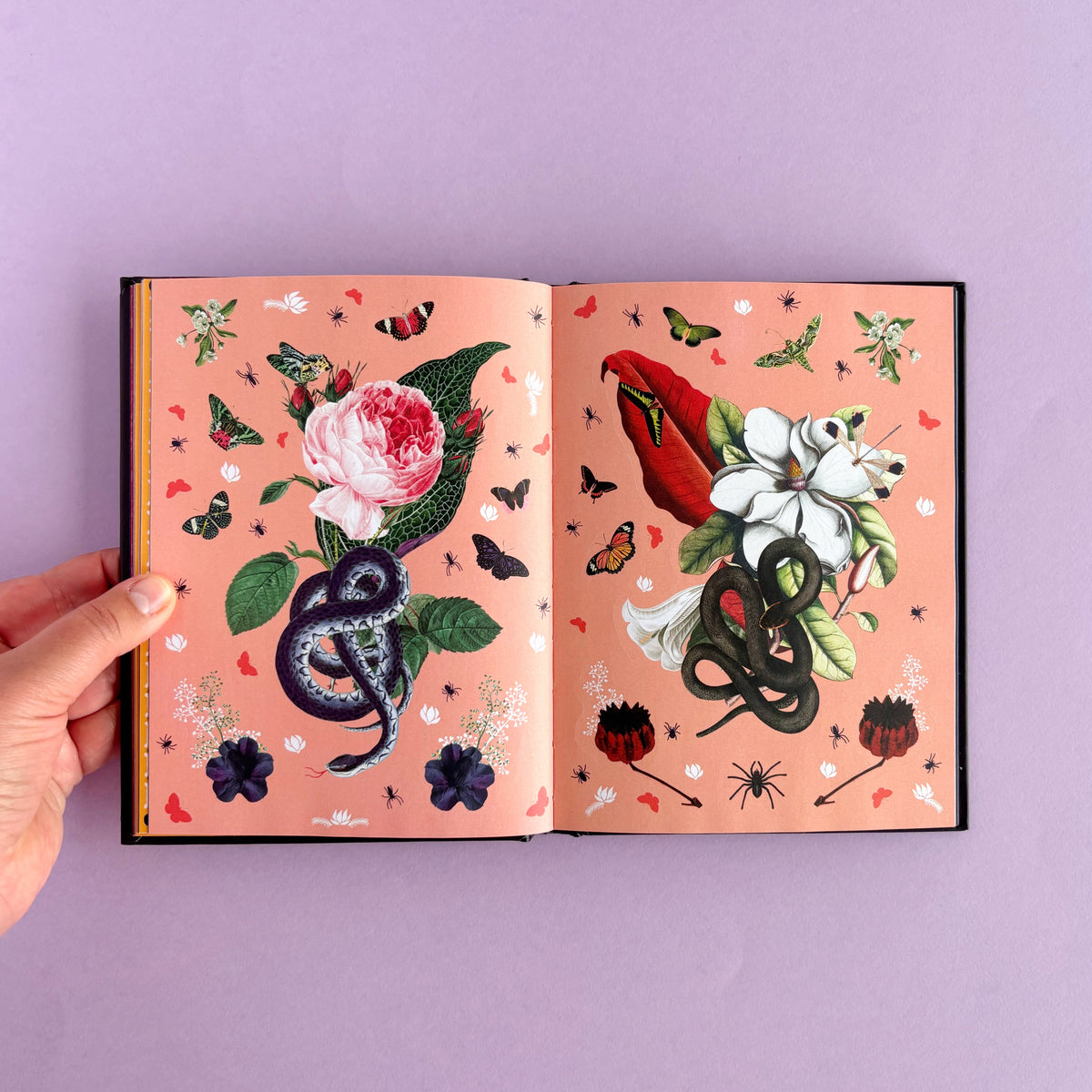 Libro de Stickers Stickertopium: Gorgeous Gothic - Más de 400 stickers