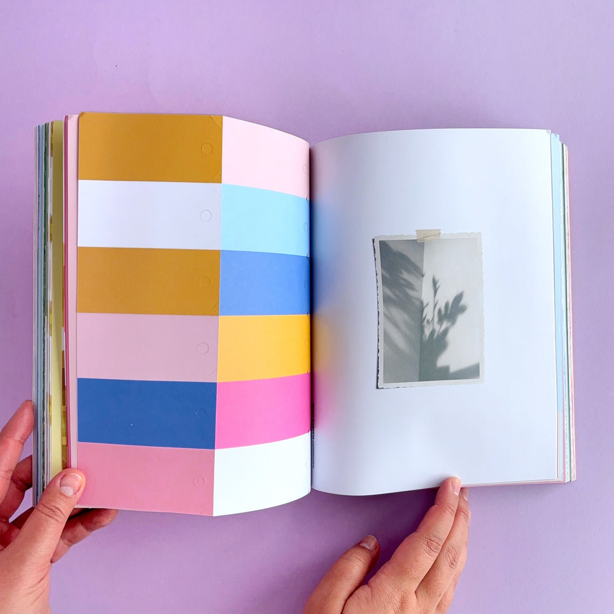 Libro Book for Paper Lovers: Color Your World - para scrapbooking, collage, journaling, cartas, envolturas y otros proyectos creativos