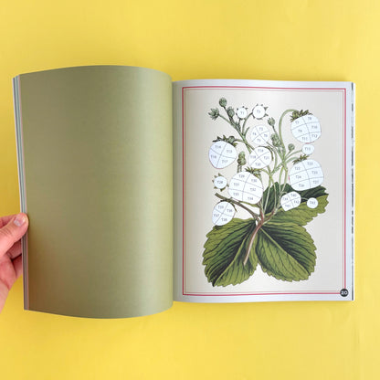 Libro de Stickers por Números Brain Games: Forest - 28 imágenes para completar