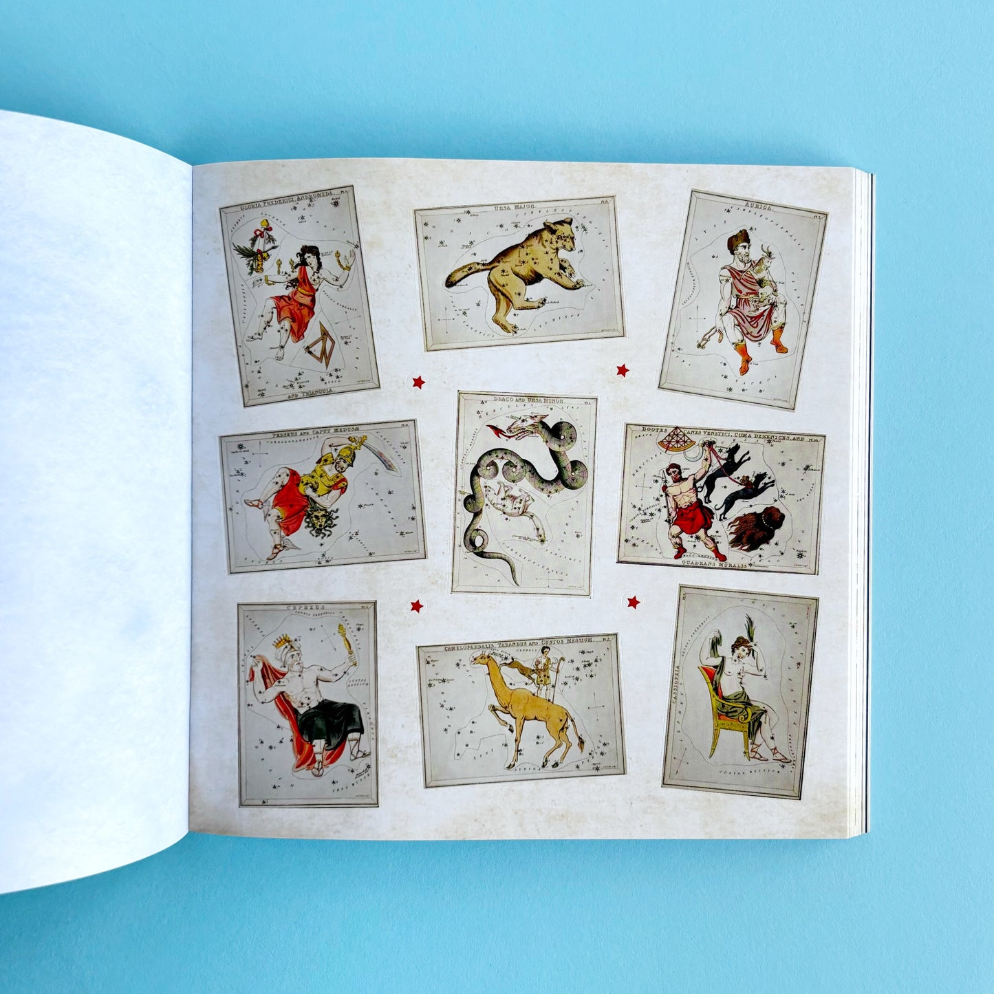 Libro de Stickers Celestial Wonders- Más de 900 stickers