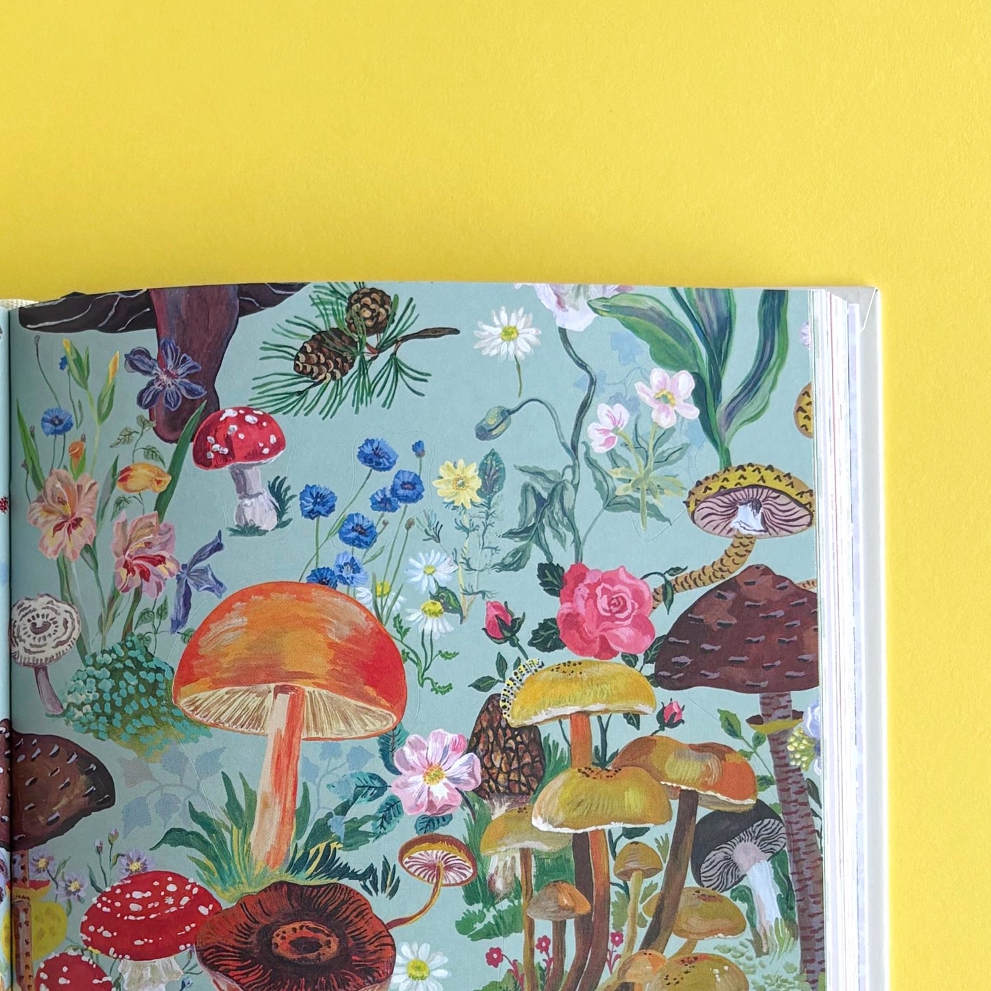 El libro de stickers de Nathalie Lété - Más de 800 stickers