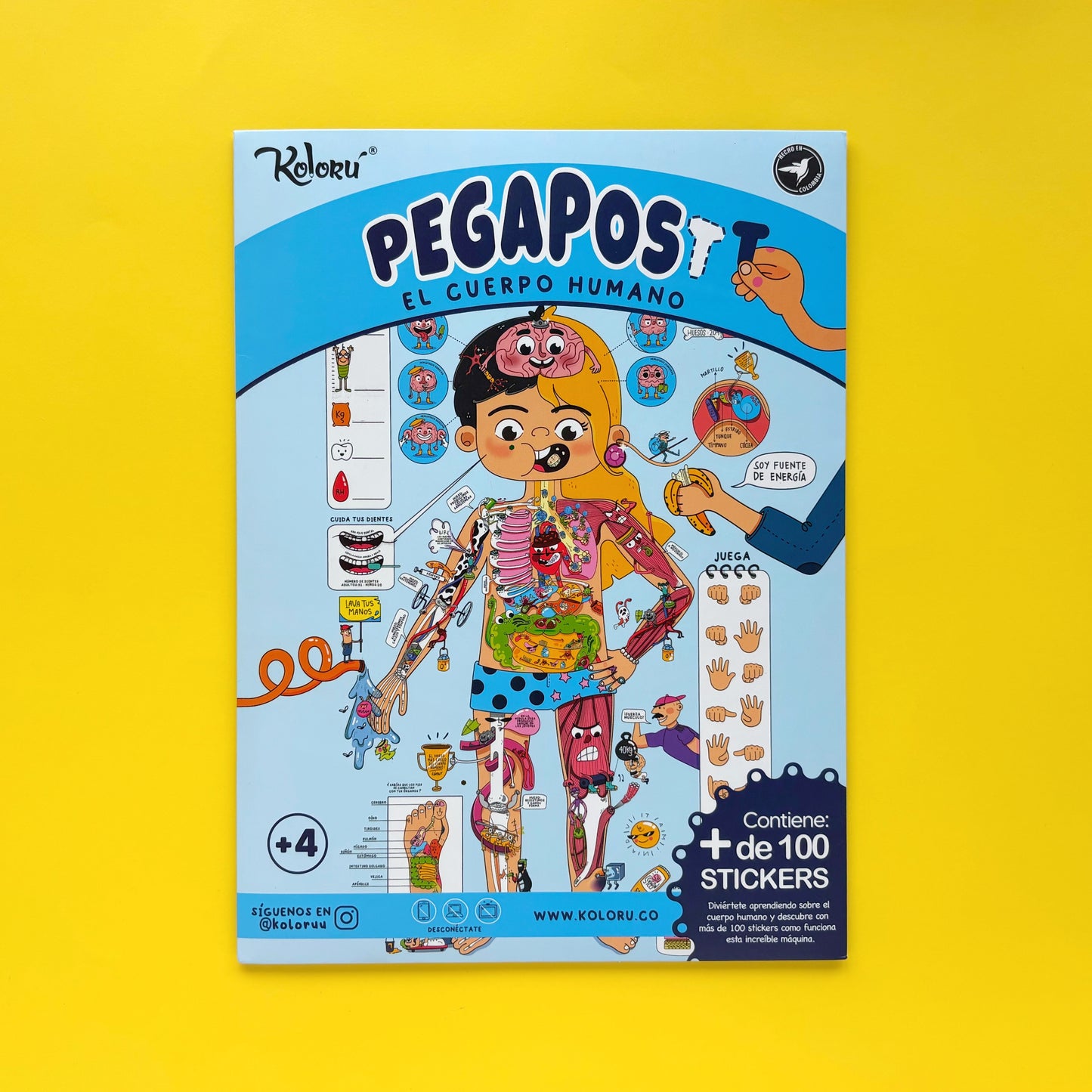 Póster gigante Pegapost – El cuerpo humano