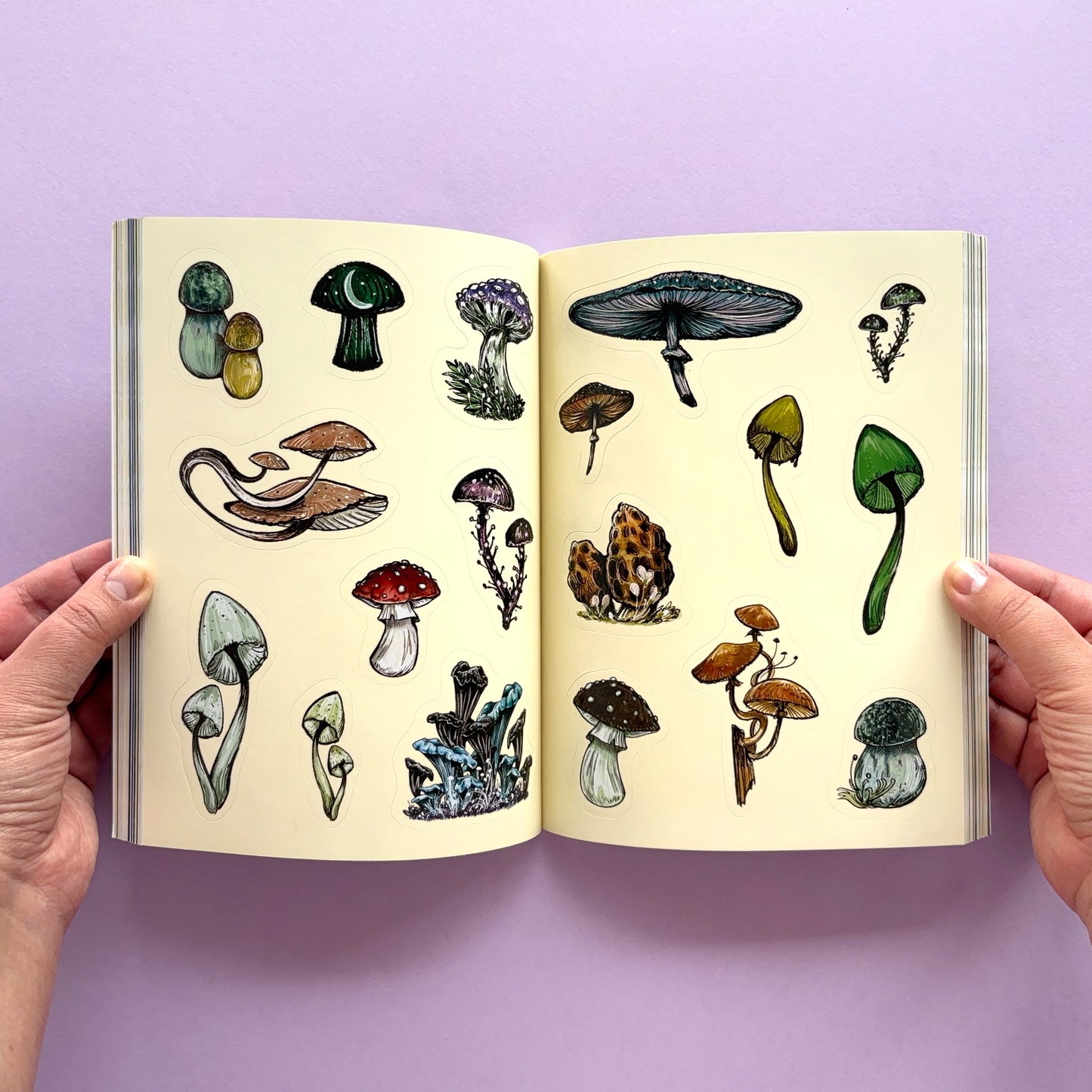 Libro de Stickers The Green Witch's Sticker Book