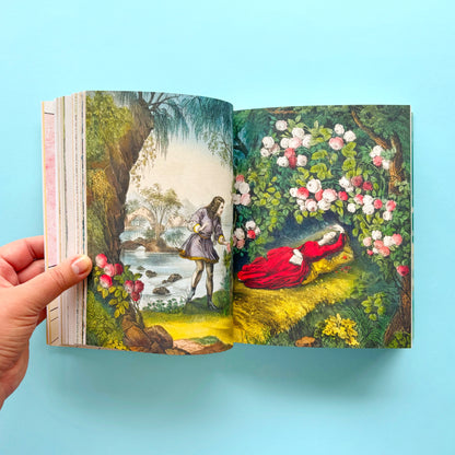 Libro de stickers John Derian Sticker Book