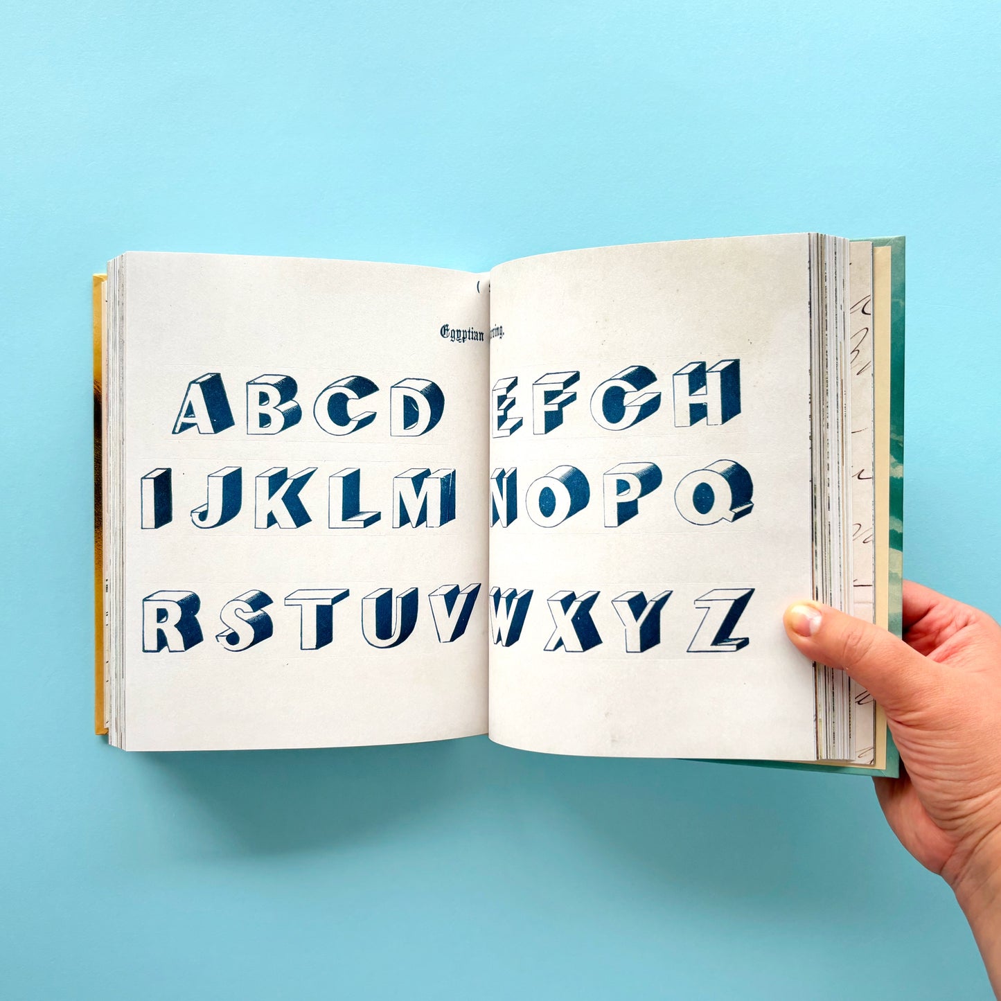 Libro de stickers John Derian Sticker Book