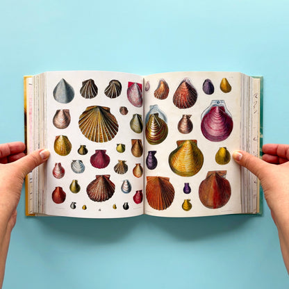 Libro de stickers John Derian Sticker Book