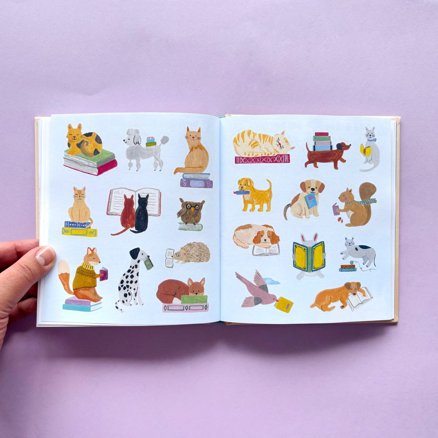 Libro de stickers A Book Lover's Sticker Book