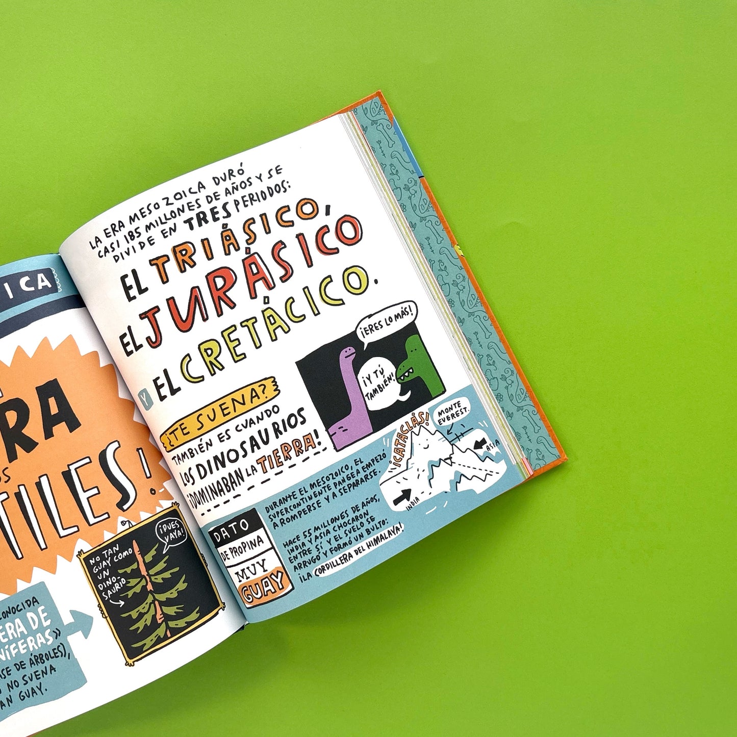 Todo lo que mola de los dinosaurios - Libro infomativo