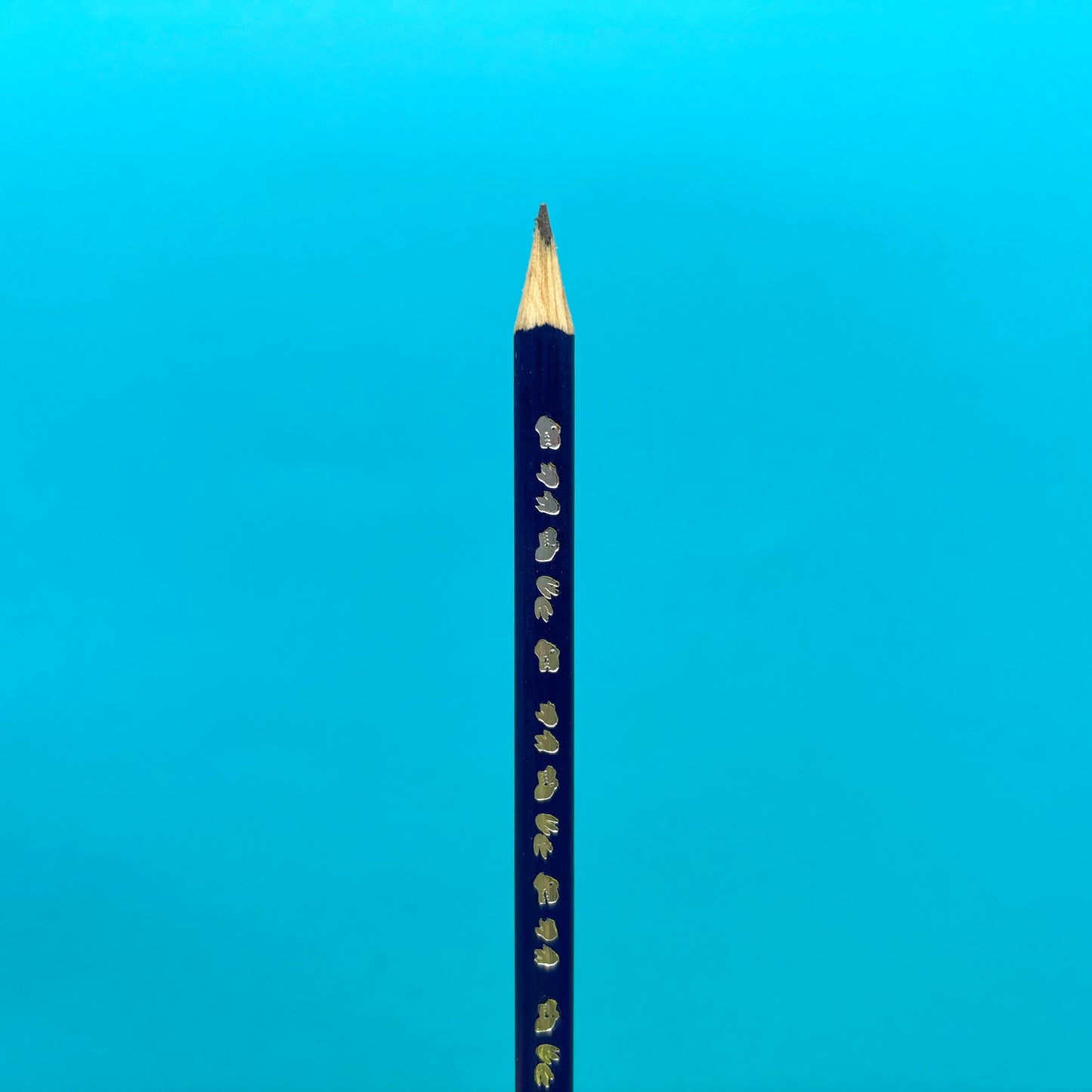 Lápiz negro de grafito dinosaurio x unidad