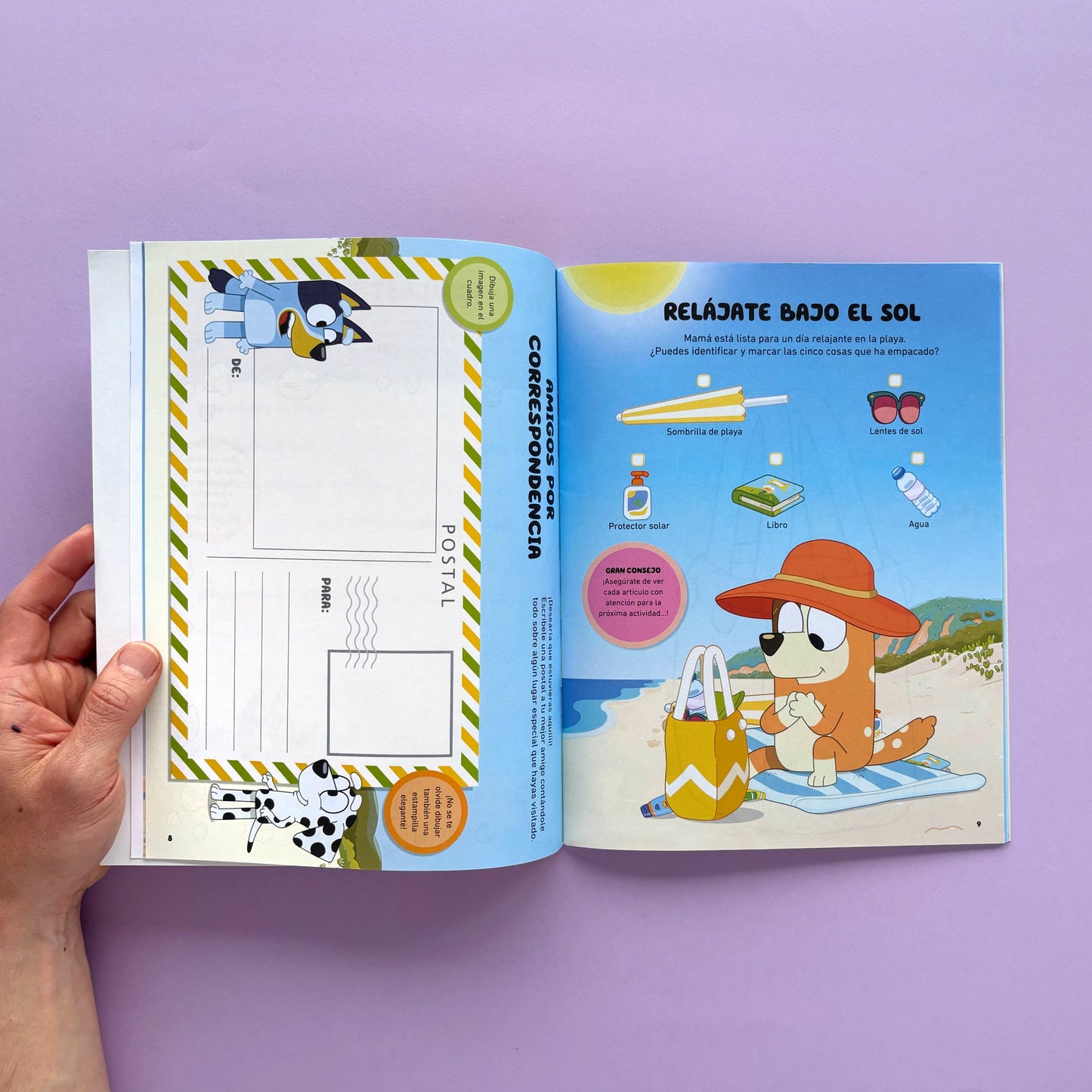 Bluey. Actividades: La playa de Bluey