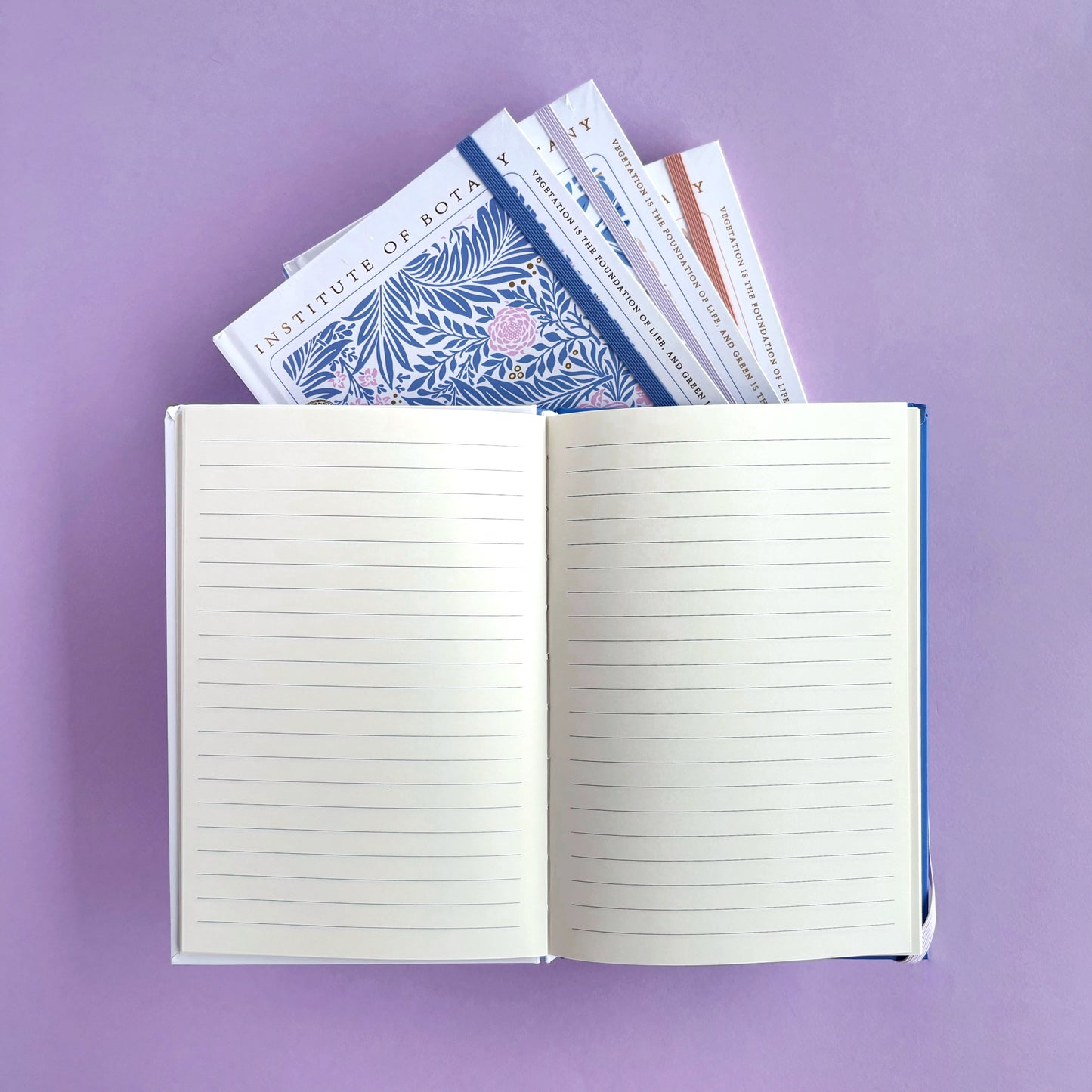 Journal Instituto de Botánica rayado - Libreta Creativa