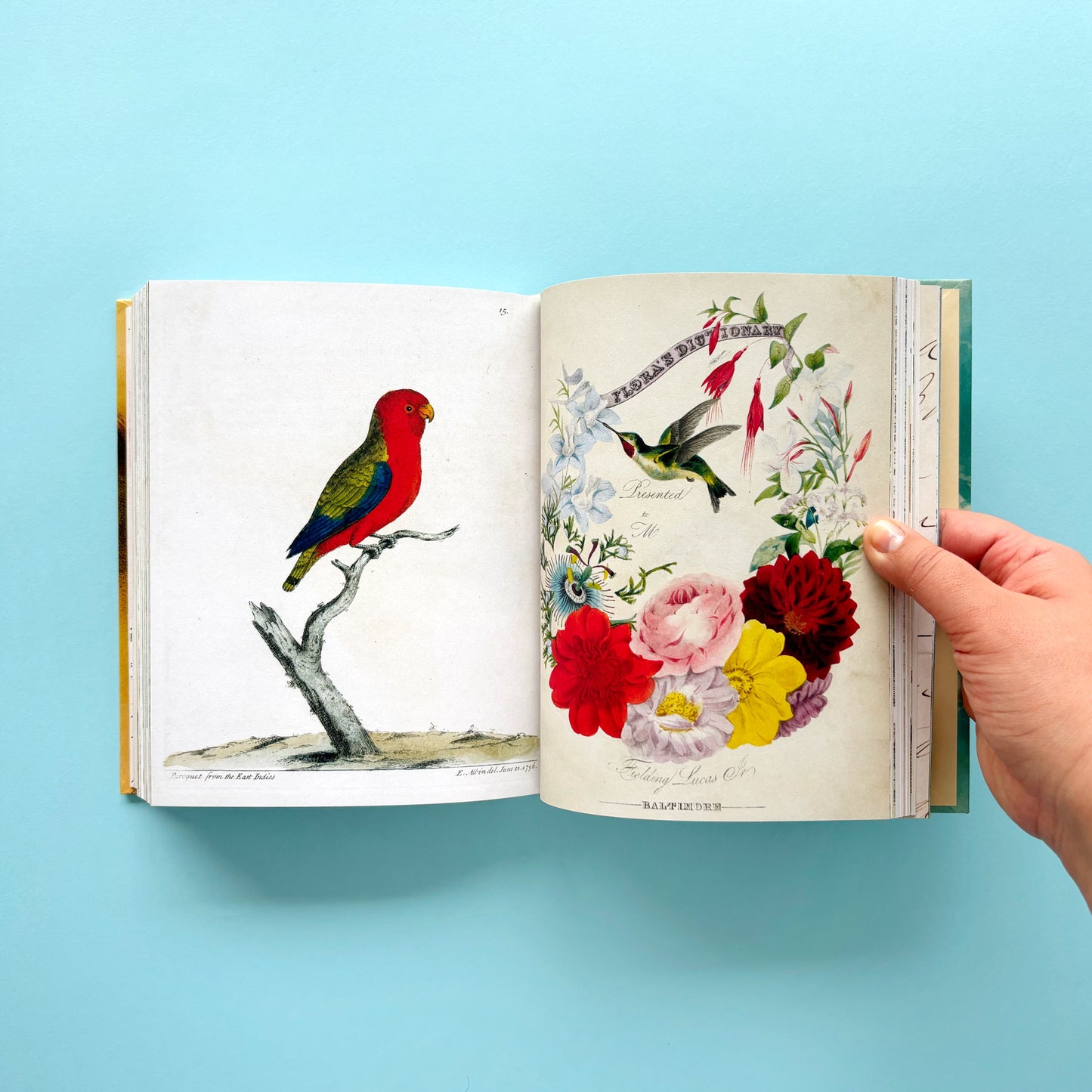 Libro de stickers John Derian Sticker Book