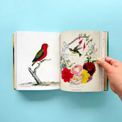 Libro de stickers John Derian Sticker Book