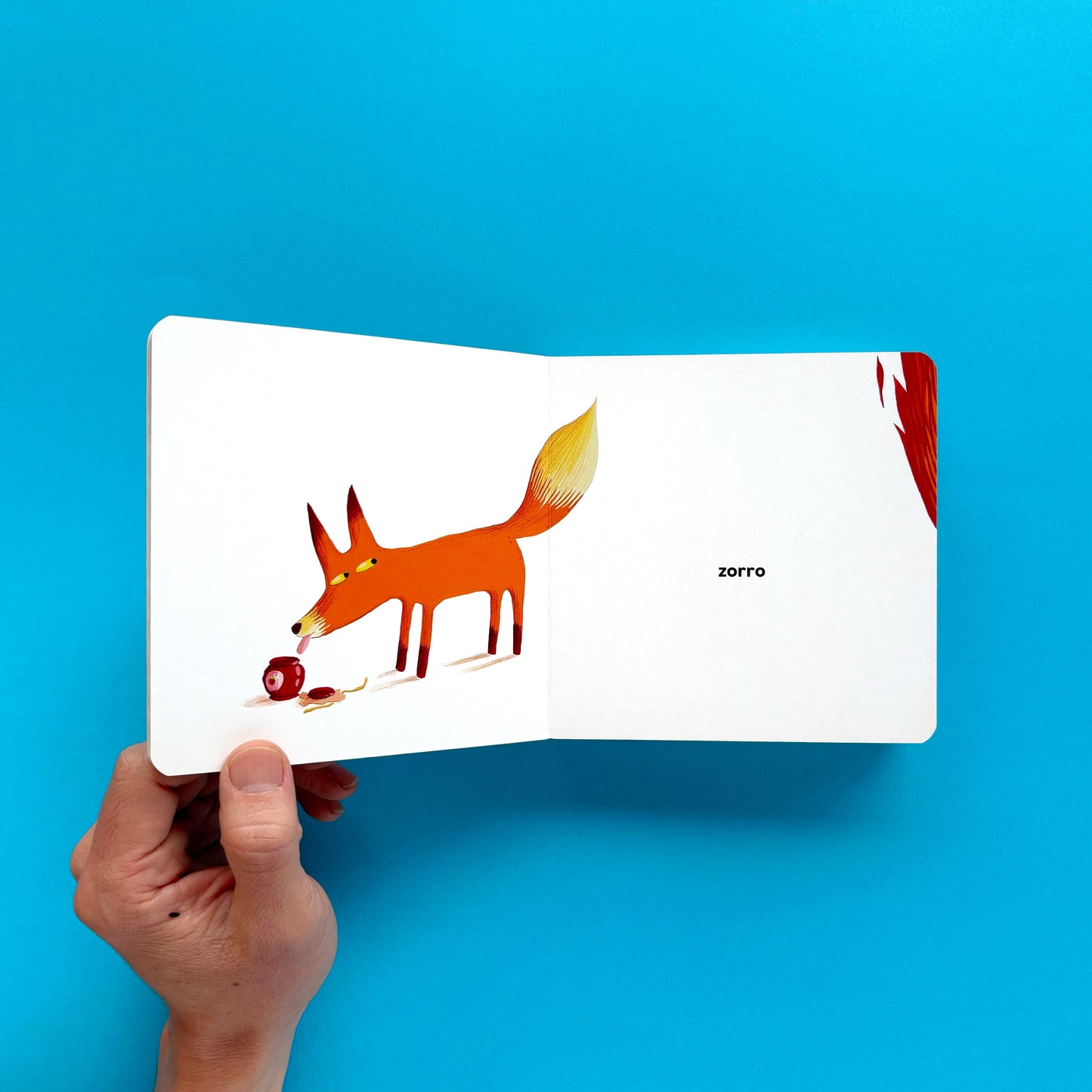 Rojo -  Libro album ilustrado en cartoné