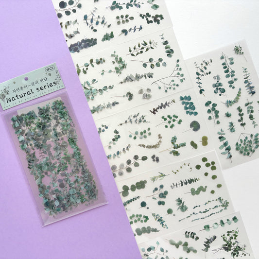 Set de Stickers Botánicos Eucalipto Vintage (6 hojas)