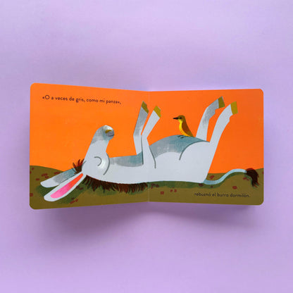 Tucusito - Libro álbum ilustrado en cartoné