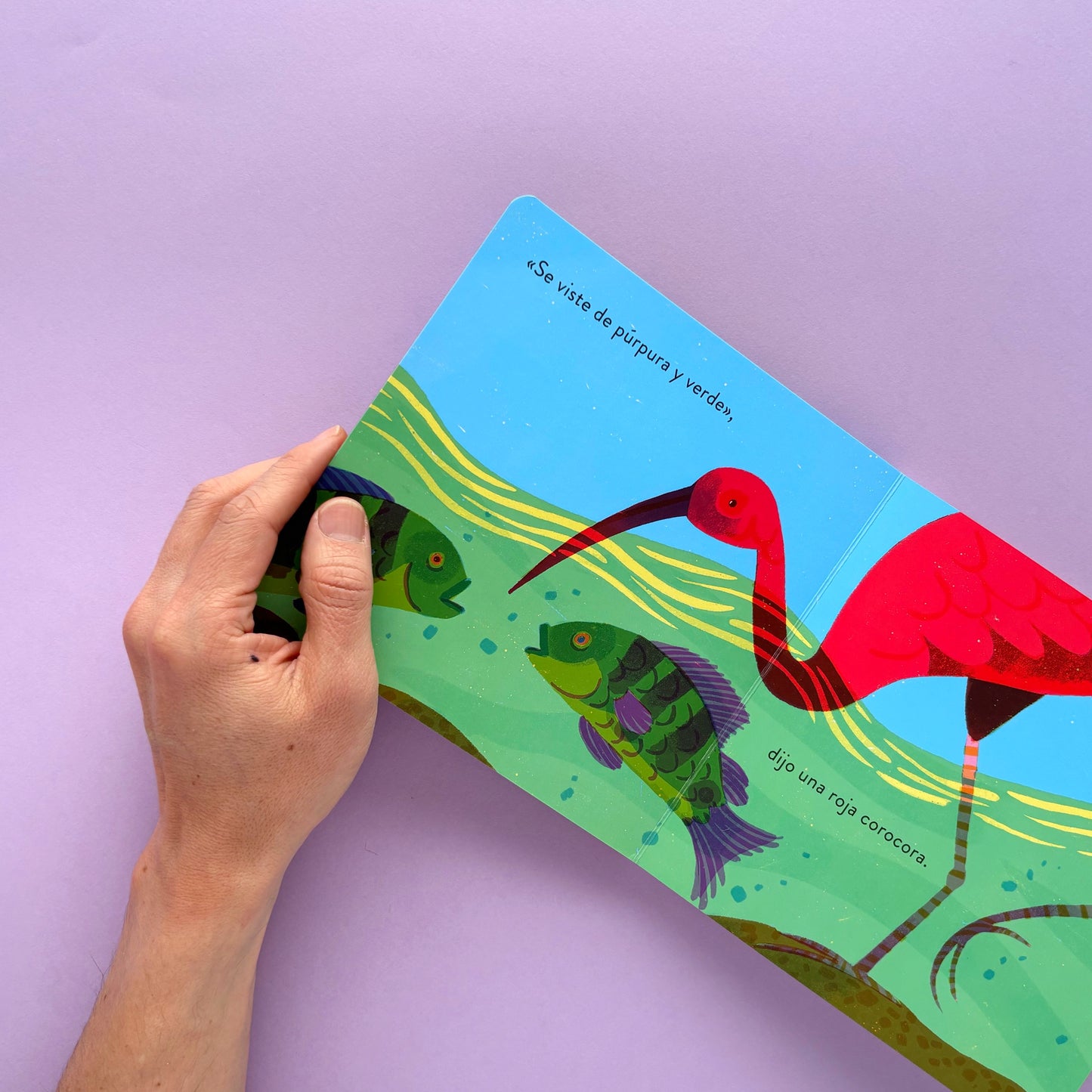 Tucusito - Libro álbum ilustrado en cartoné